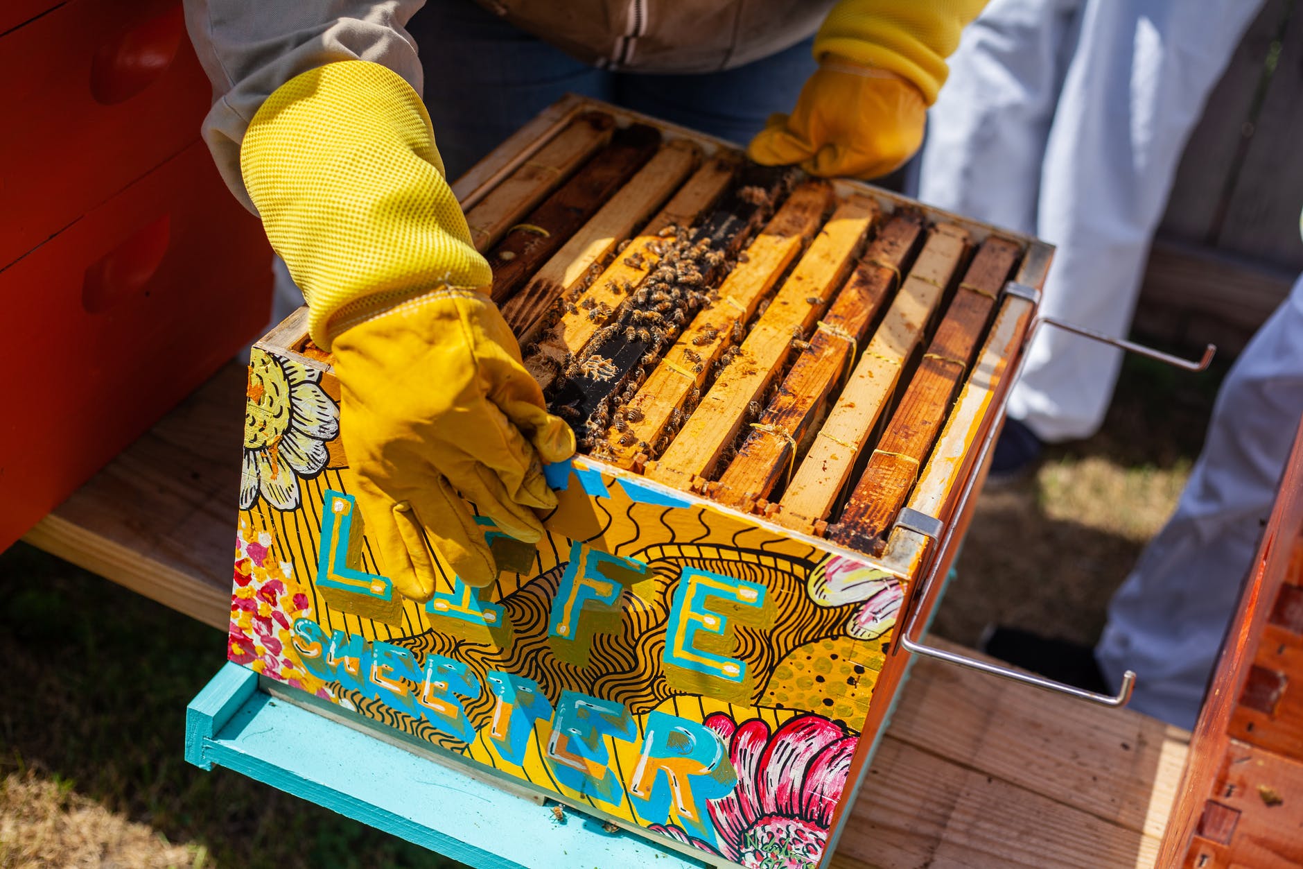 brown wooden crate with bees